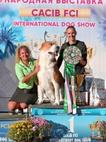  Международная выставка собак, ранг CACIB, Minsk