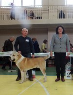 Региональная выставка собак ранг САС, КЧФ г. Тула