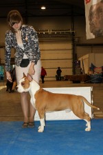 Международная выставка собак, CACIB-FCI, "Cup of RKF President 2012"