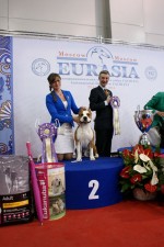  Международная выставка собак, ранг CACIB, "Евразия -II, 2013"